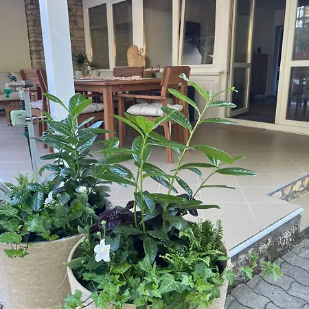 Dushi Balaton Family-friendly Vacation Near The *